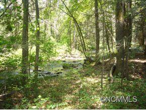 0 Blackberry Inn Road Weaverville, NC 28787 - Photo 15 of 16 Gallery Image 15