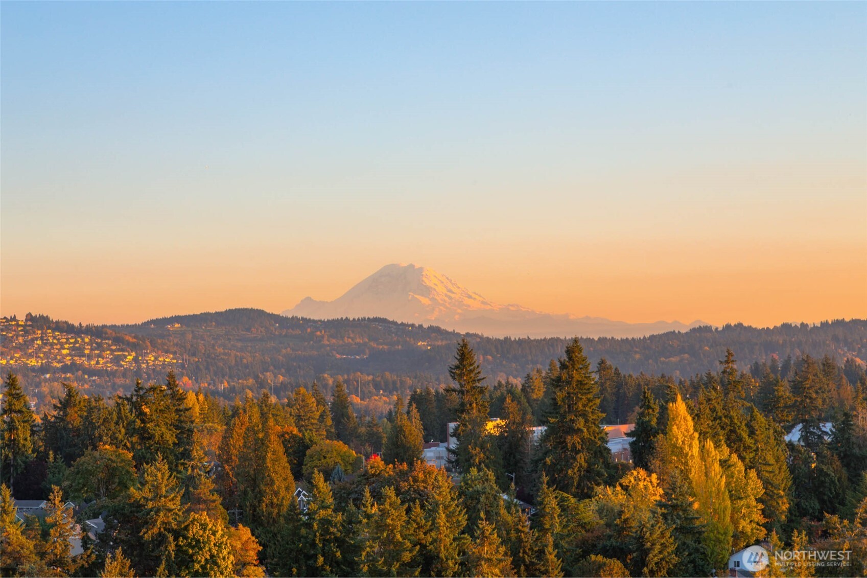 188 Bellevue Way Northeast, Unit 1907 Bellevue, WA 98004 - Photo 10 of 36 a view of a mountain in the distance in a field