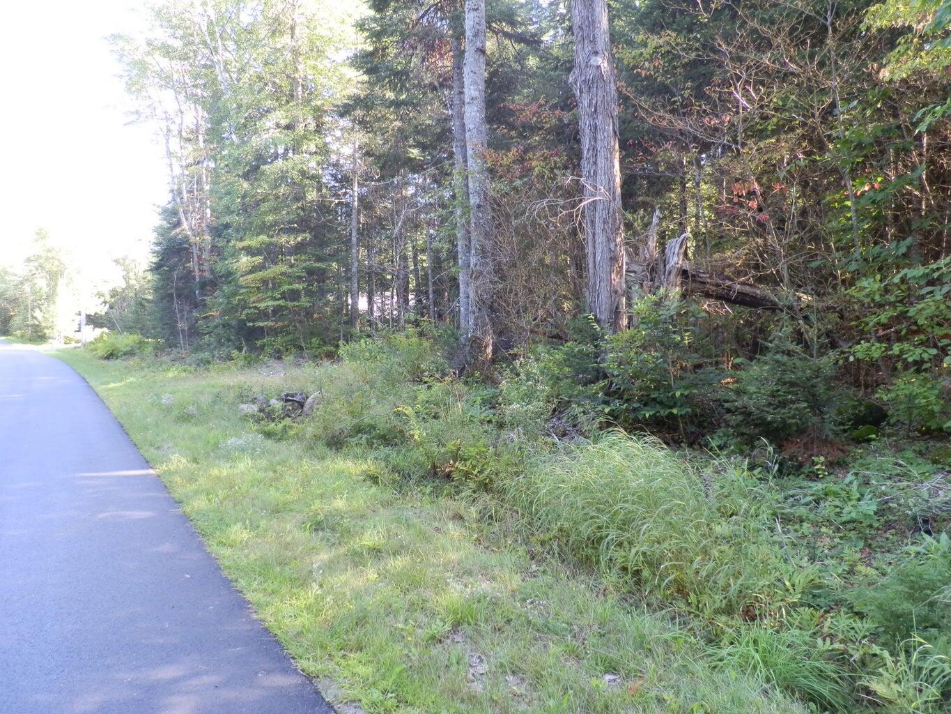 0 Cross Road Greenbush, ME 04418 - Photo 11 of 25 20190826190929300900000000-o