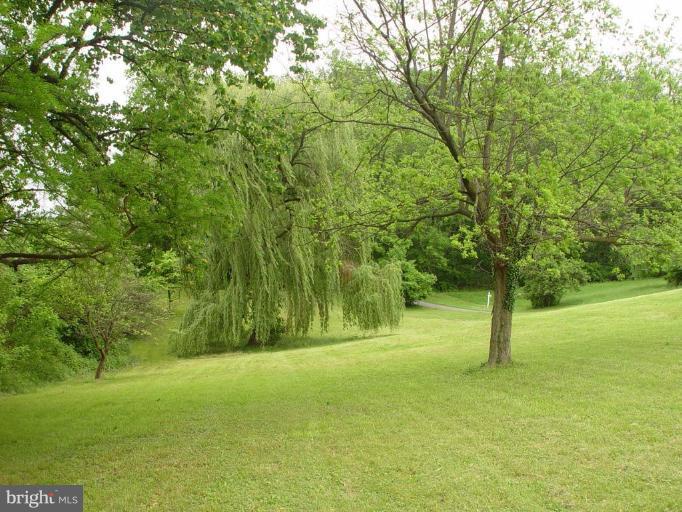 3722 Point Of Rocks Road Jefferson, MD 21755 - Photo 8 of 30 FRONT YARD VIEW 2