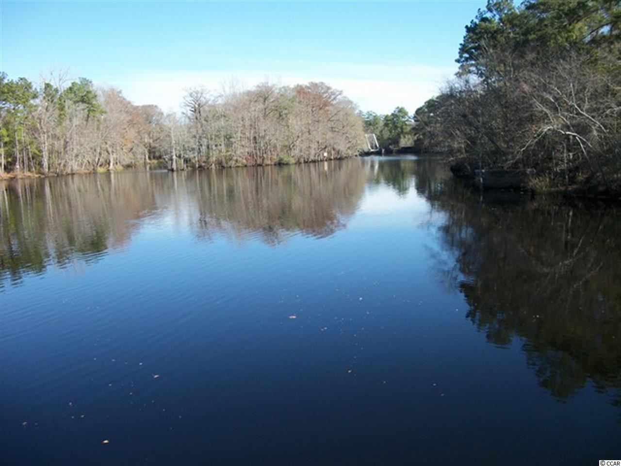 837 Tilly Lake Road Conway, SC 29526 - Photo 23 of 23 Gallery Image 23
