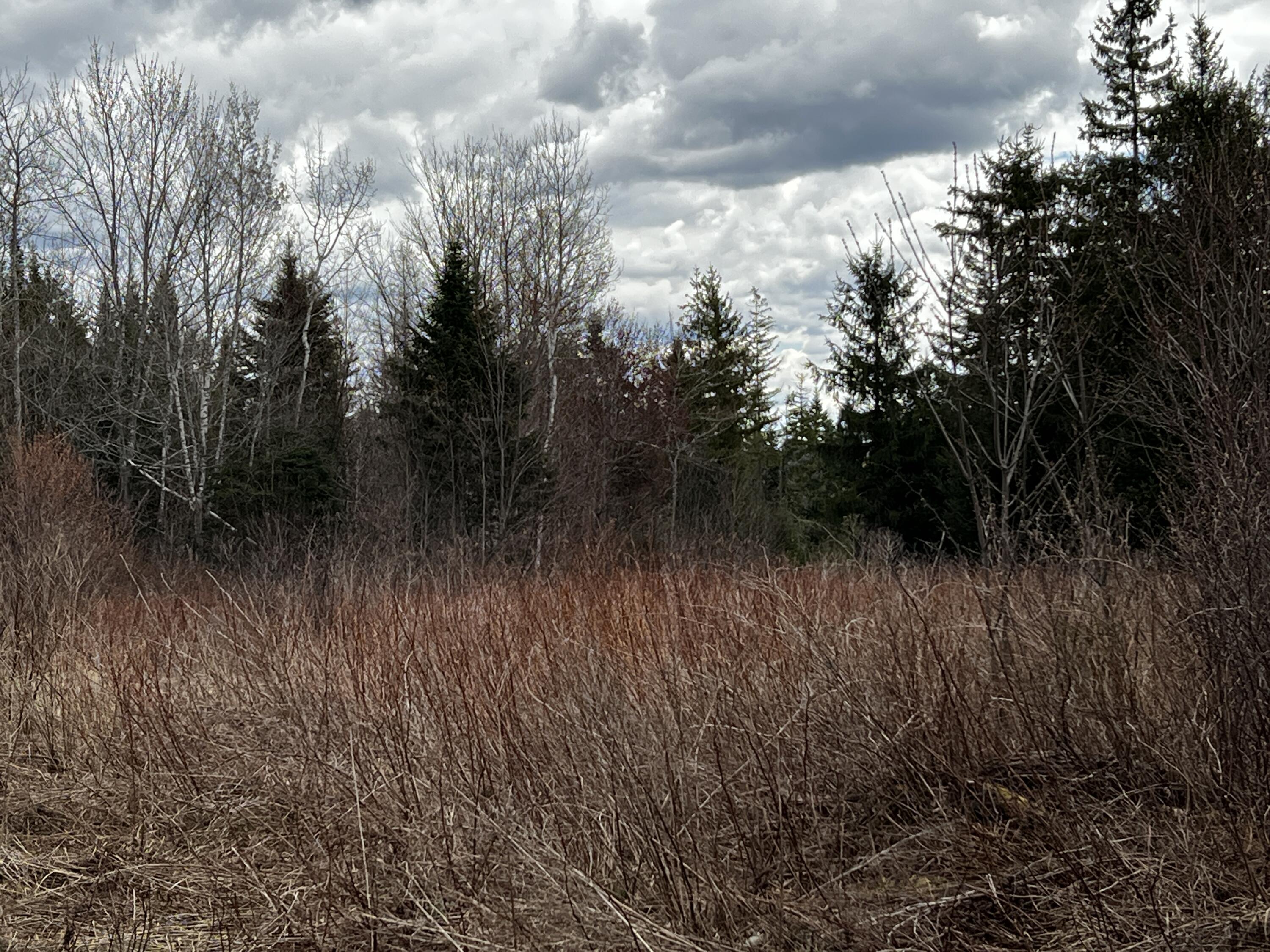 Lot 2-18 Shin Pond Rd Mount Mount Chase, ME 04765 - Photo 51 of 59
