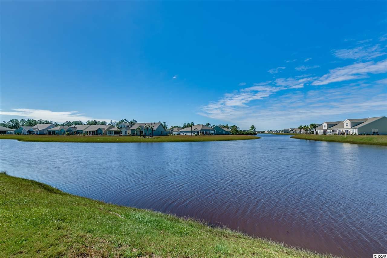 312 Firenze Loop Myrtle Beach, SC 29579 - Photo 39 of 40 Gallery Image 39