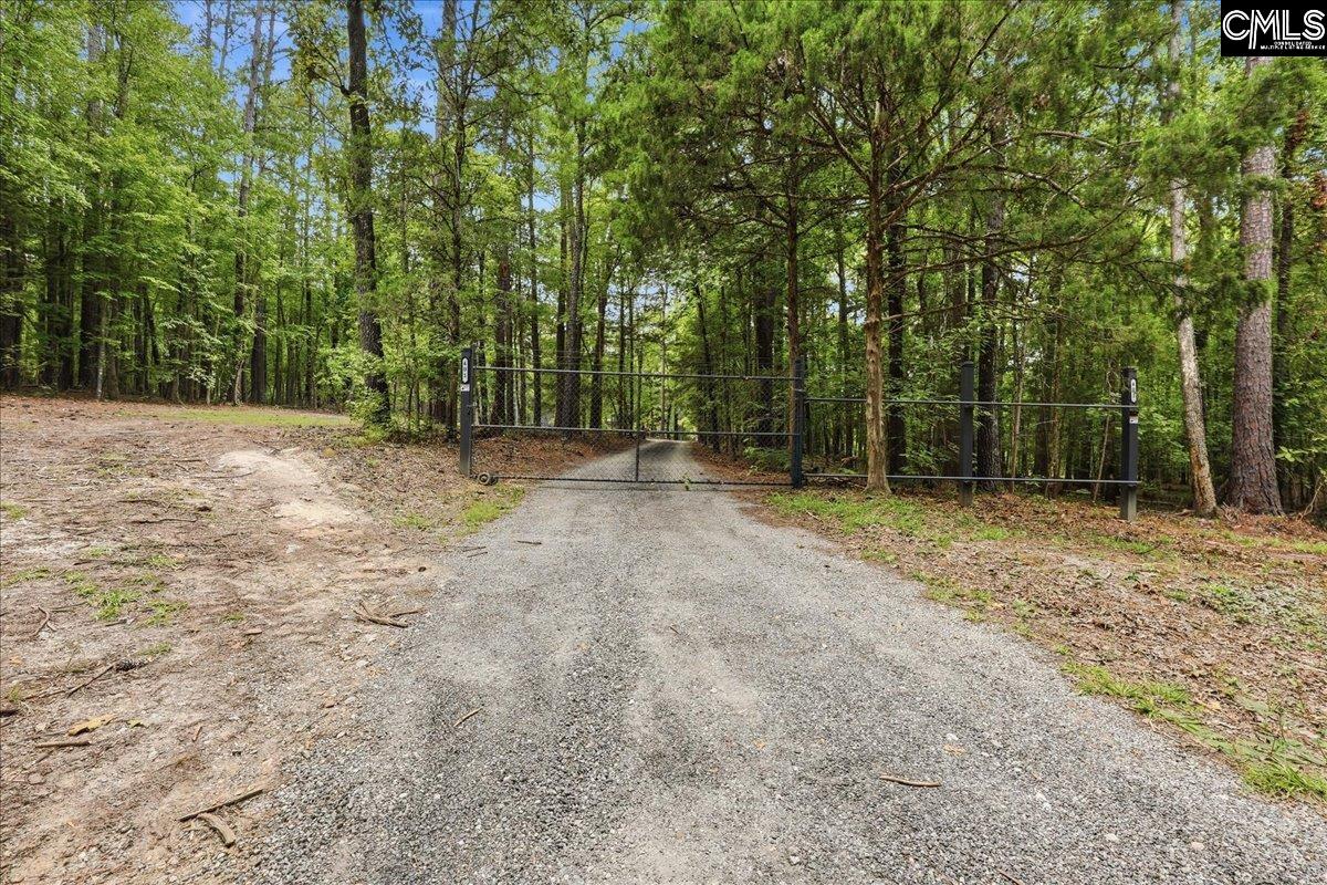 401 Pine Grove Road Blythewood, SC 29016 - Photo 7 of 85 Gallery Image 7
