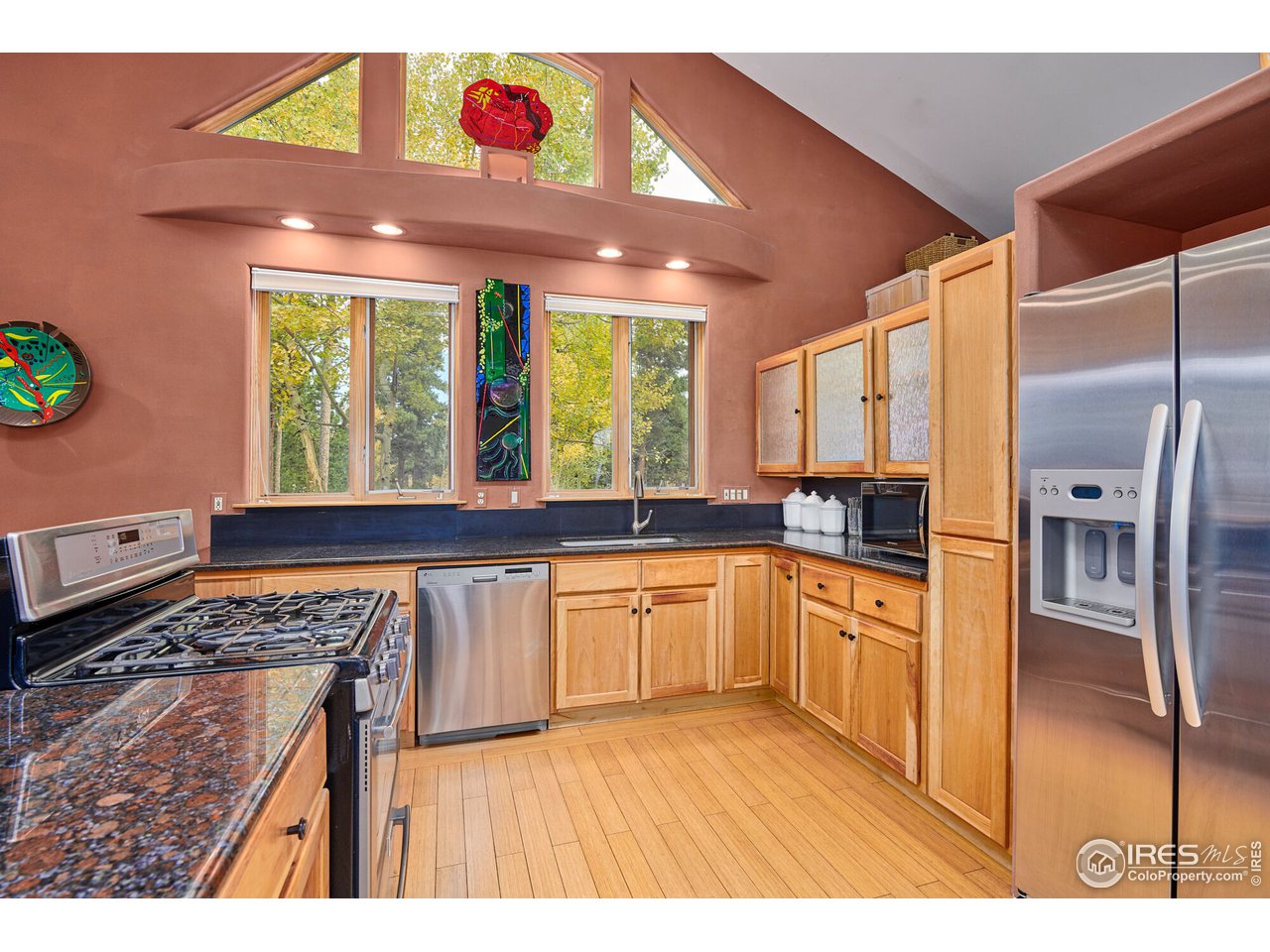 Stainless Appliances