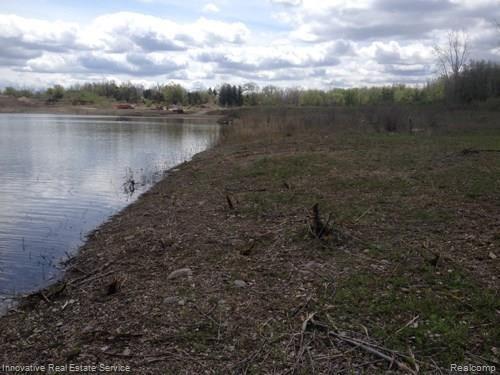 Parcel D North Lake George Road Attica, MI 48412 - Photo 3 of 14 cdlinesouth.jpg