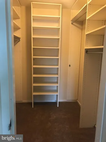 a view of walk in closet with empty racks