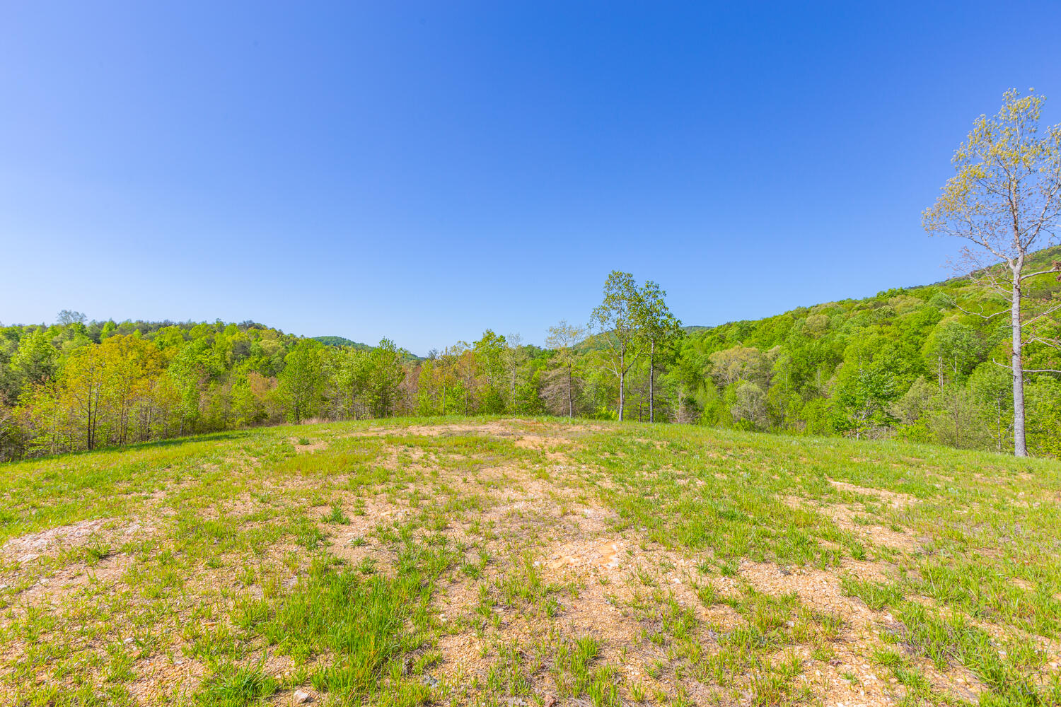 1020 Lower Cove Loop Dayton, TN 37321 - Photo 12 of 76 1020 Lower Cove Loop HD-5