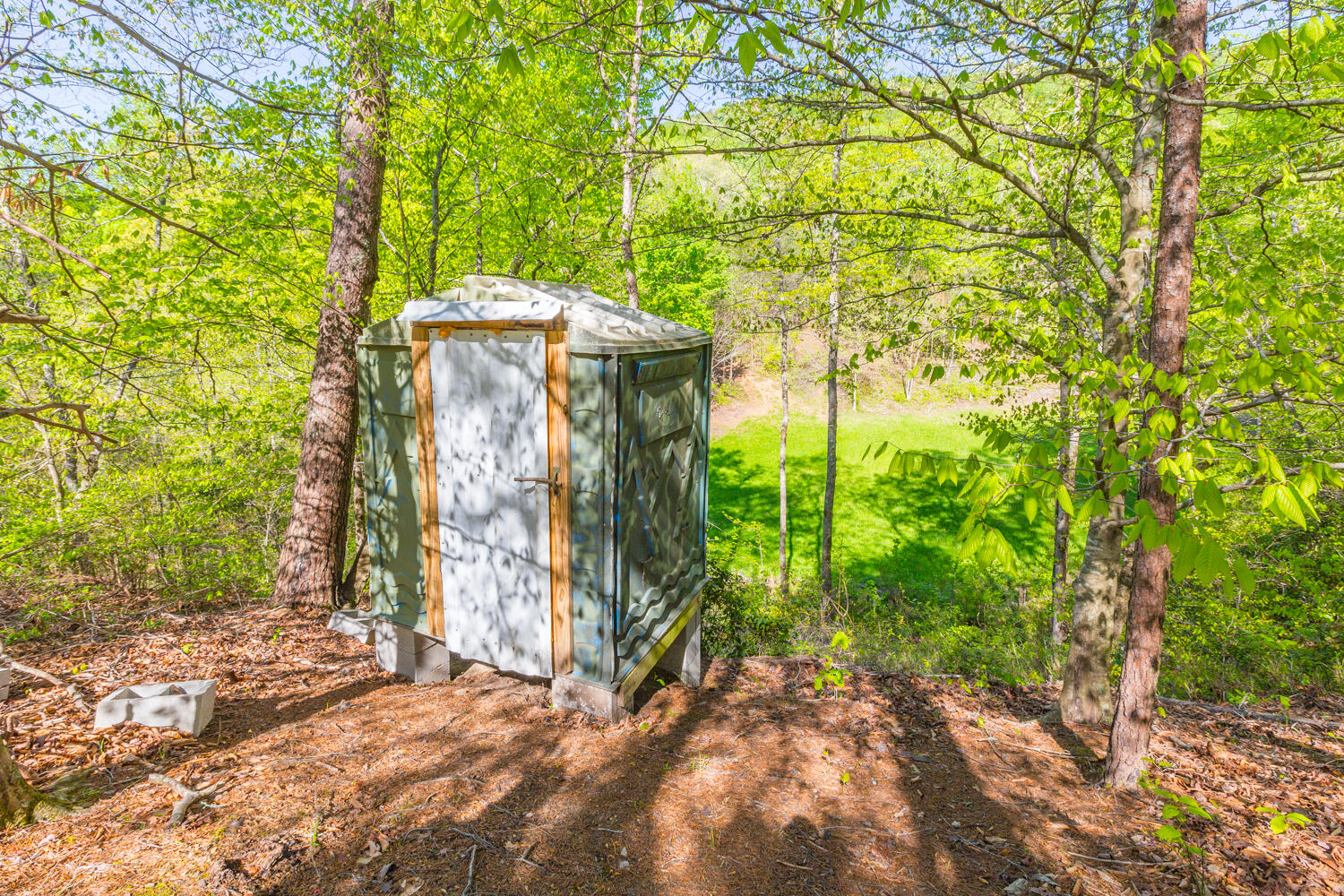 1020 Lower Cove Loop Dayton, TN 37321 - Photo 14 of 76 1020 Lower Cove Loop HD-8