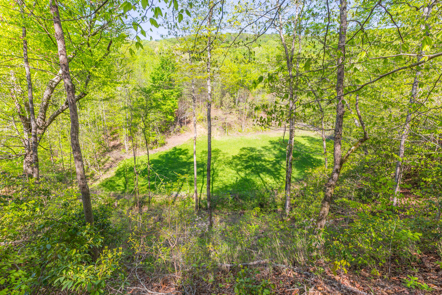 1020 Lower Cove Loop Dayton, TN 37321 - Photo 15 of 76 1020 Lower Cove Loop HD-9