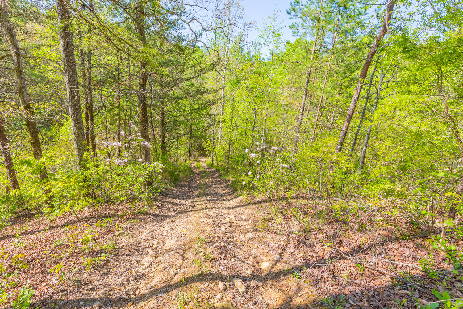 1020 Lower Cove Loop Dayton, TN 37321 - Photo 16 of 76 1020 Lower Cove Loop HD-10