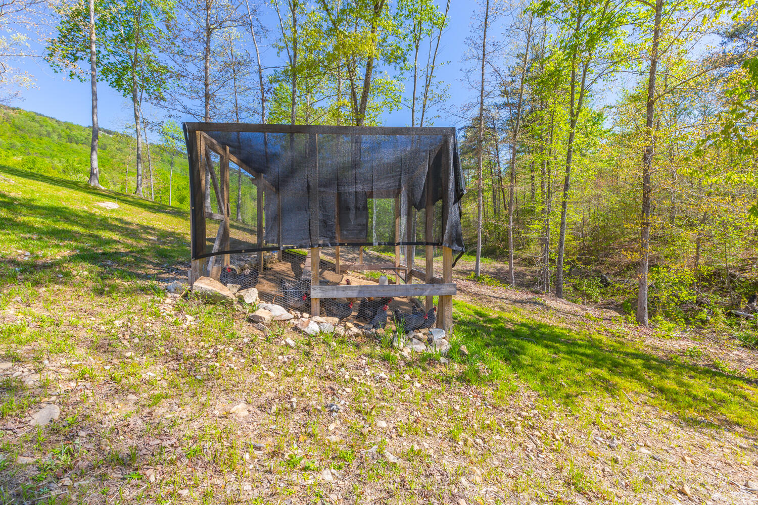 1020 Lower Cove Loop Dayton, TN 37321 - Photo 19 of 76 1020 Lower Cove Loop HD-14