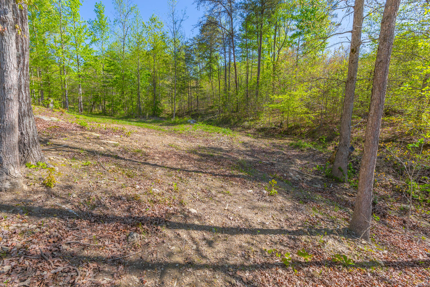 1020 Lower Cove Loop Dayton, TN 37321 - Photo 20 of 76 1020 Lower Cove Loop HD-16