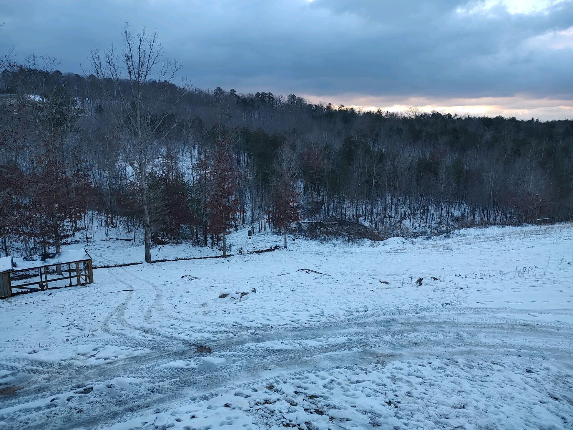 1020 Lower Cove Loop Dayton, TN 37321 - Photo 48 of 76 IMG_20240119_081838310