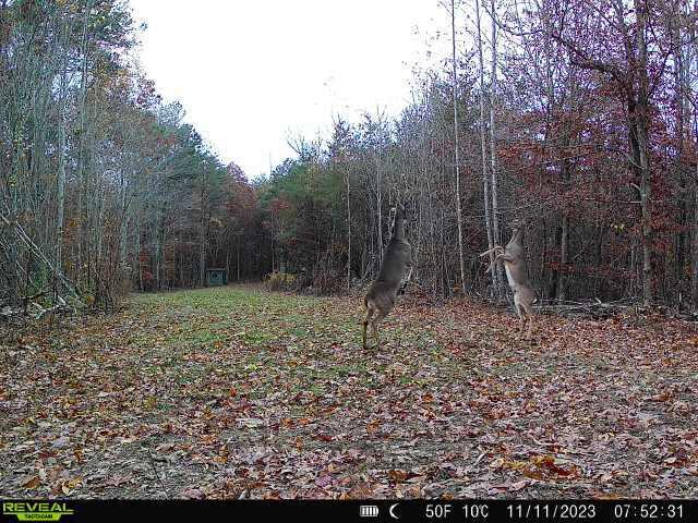 1020 Lower Cove Loop Dayton, TN 37321 - Photo 49 of 76 31ad08b6-8db0-46f2-b8e6-eb59b654edb2