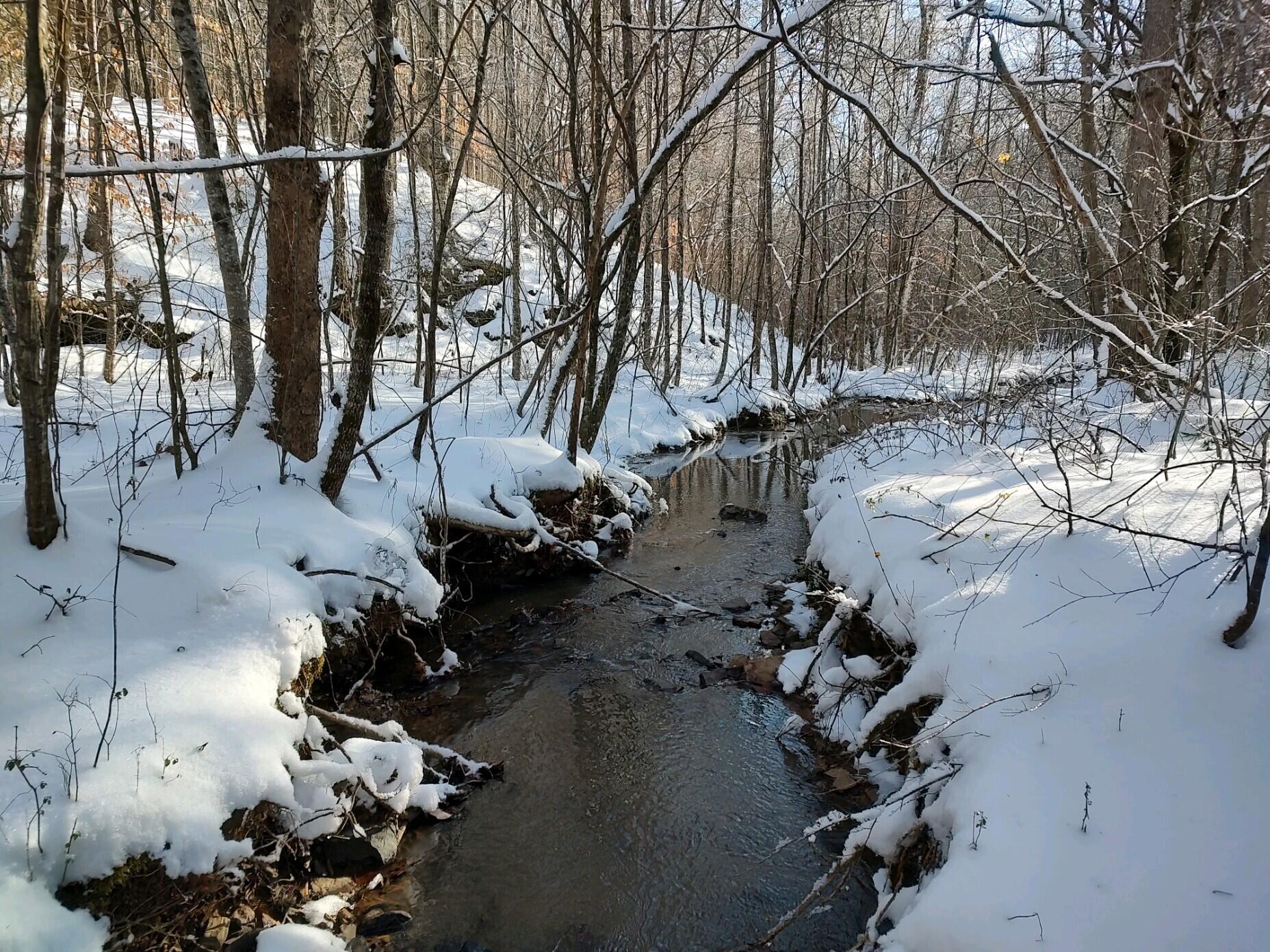 1020 Lower Cove Loop Dayton, TN 37321 - Photo 50 of 76 IMG_20240116_155154595_HDR