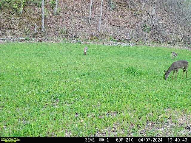 1020 Lower Cove Loop Dayton, TN 37321 - Photo 51 of 76 868032066493499-90-3-04072024194042-W101