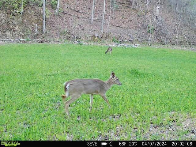 1020 Lower Cove Loop Dayton, TN 37321 - Photo 52 of 76 868032066493499-90-3-04072024200206-W101