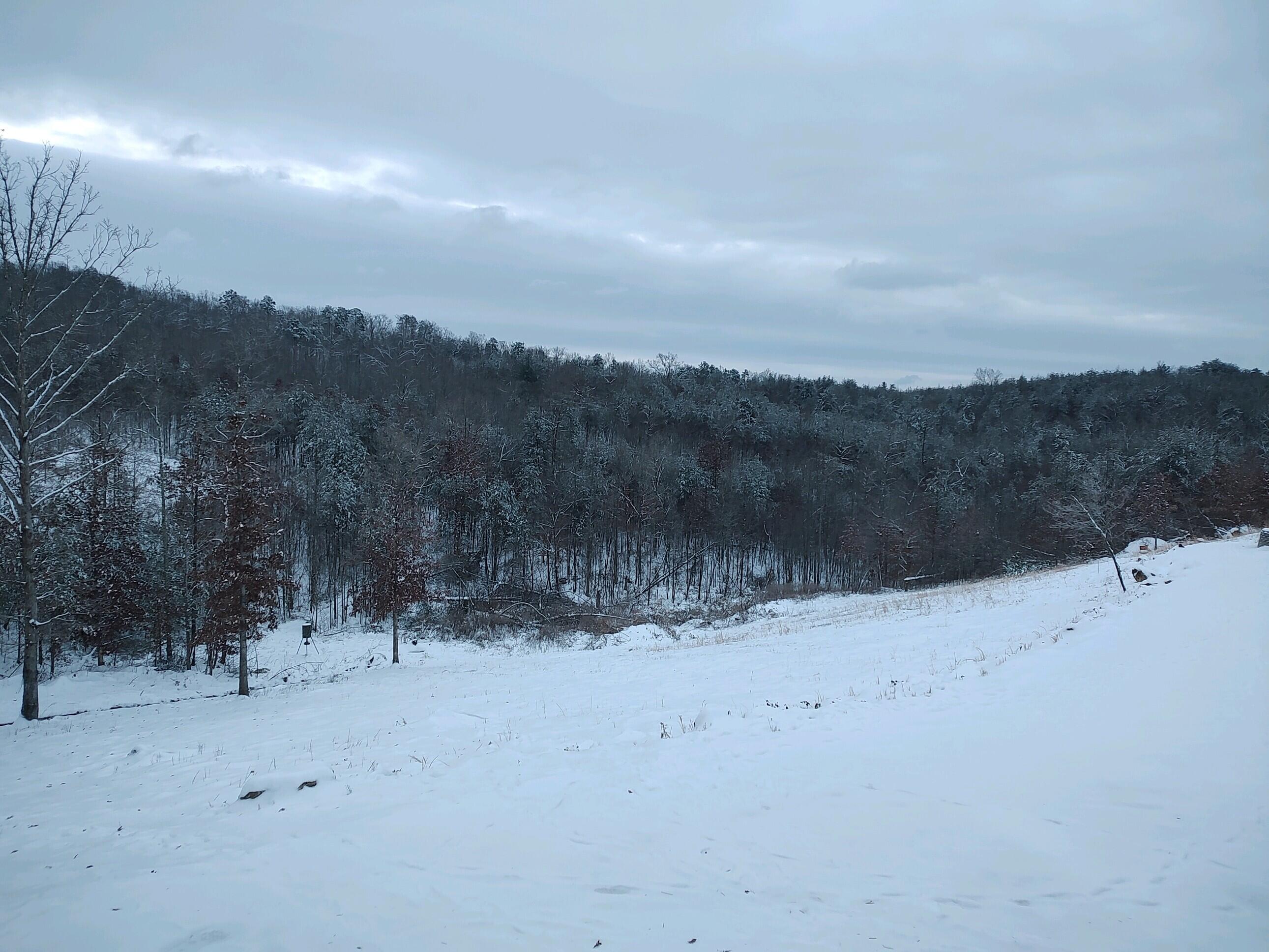 1020 Lower Cove Loop Dayton, TN 37321 - Photo 55 of 76 IMG_20240116_074806964