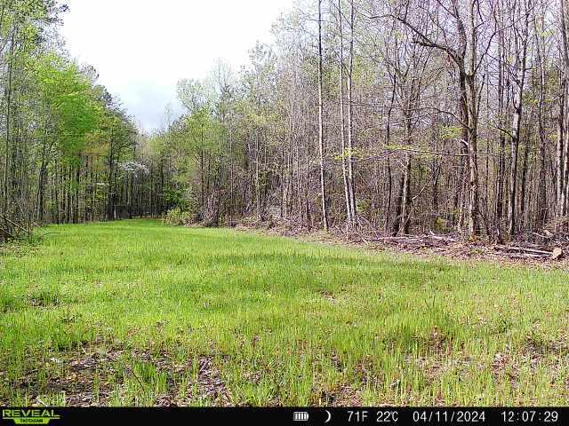 1020 Lower Cove Loop Dayton, TN 37321 - Photo 56 of 76 868032069463143-100-4-04112024120728-W10