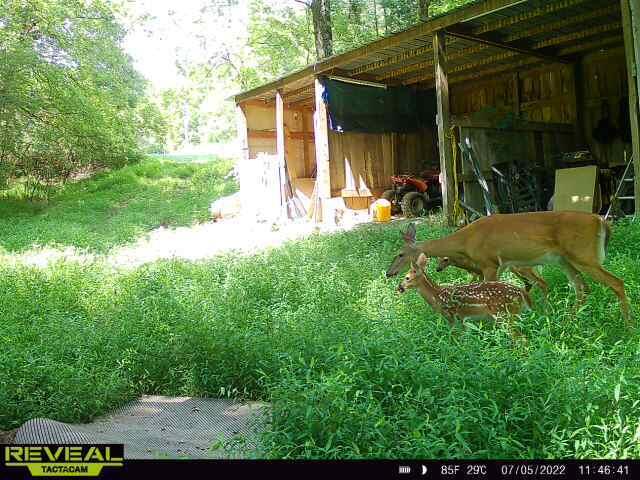 1020 Lower Cove Loop Dayton, TN 37321 - Photo 58 of 76 44b74489-fadc-4b56-baea-ec720328b404