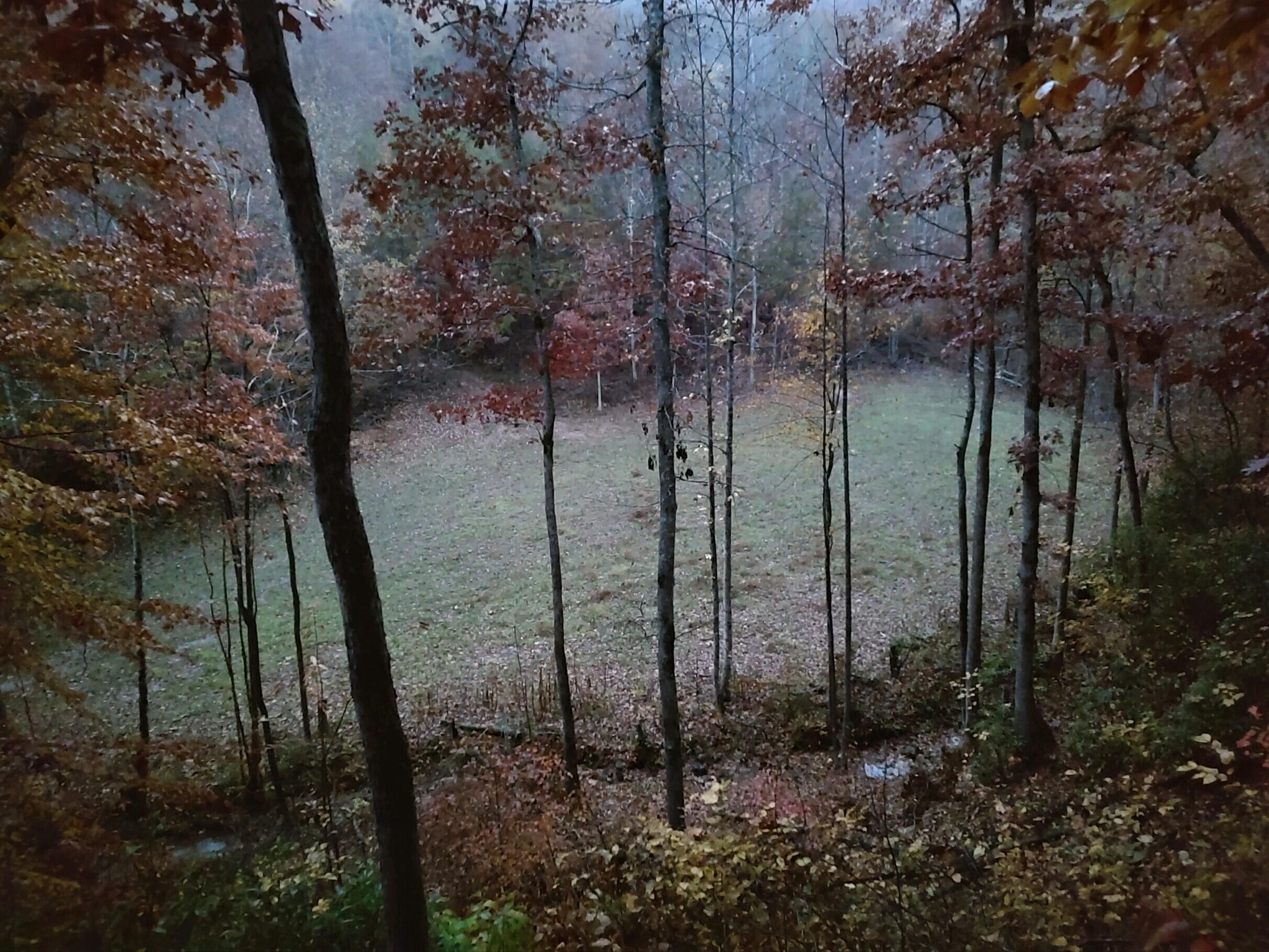 1020 Lower Cove Loop Dayton, TN 37321 - Photo 61 of 76 IMG_20221030_074619778_HDR