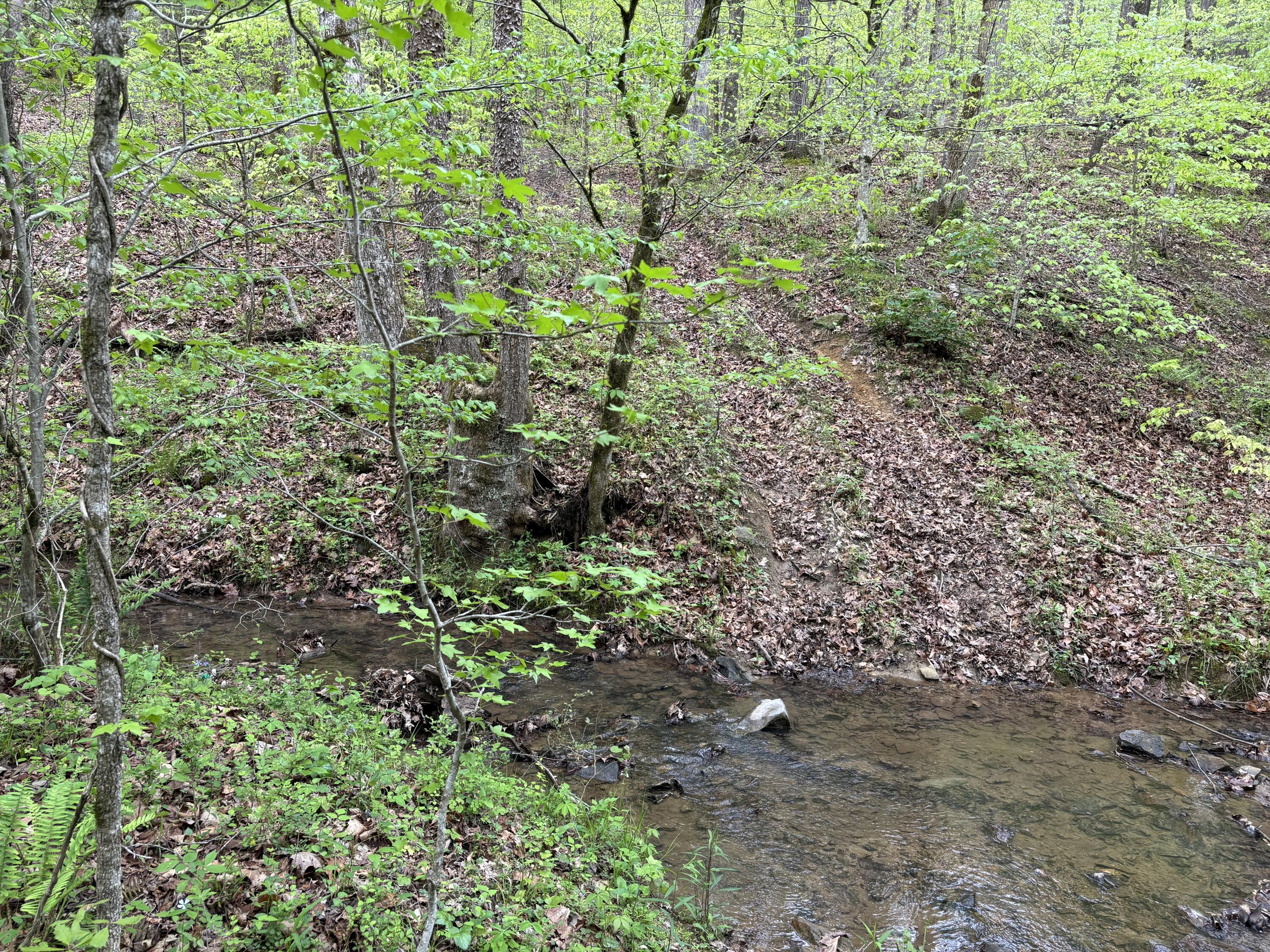 1020 Lower Cove Loop Dayton, TN 37321 - Photo 65 of 76 IMG_8954