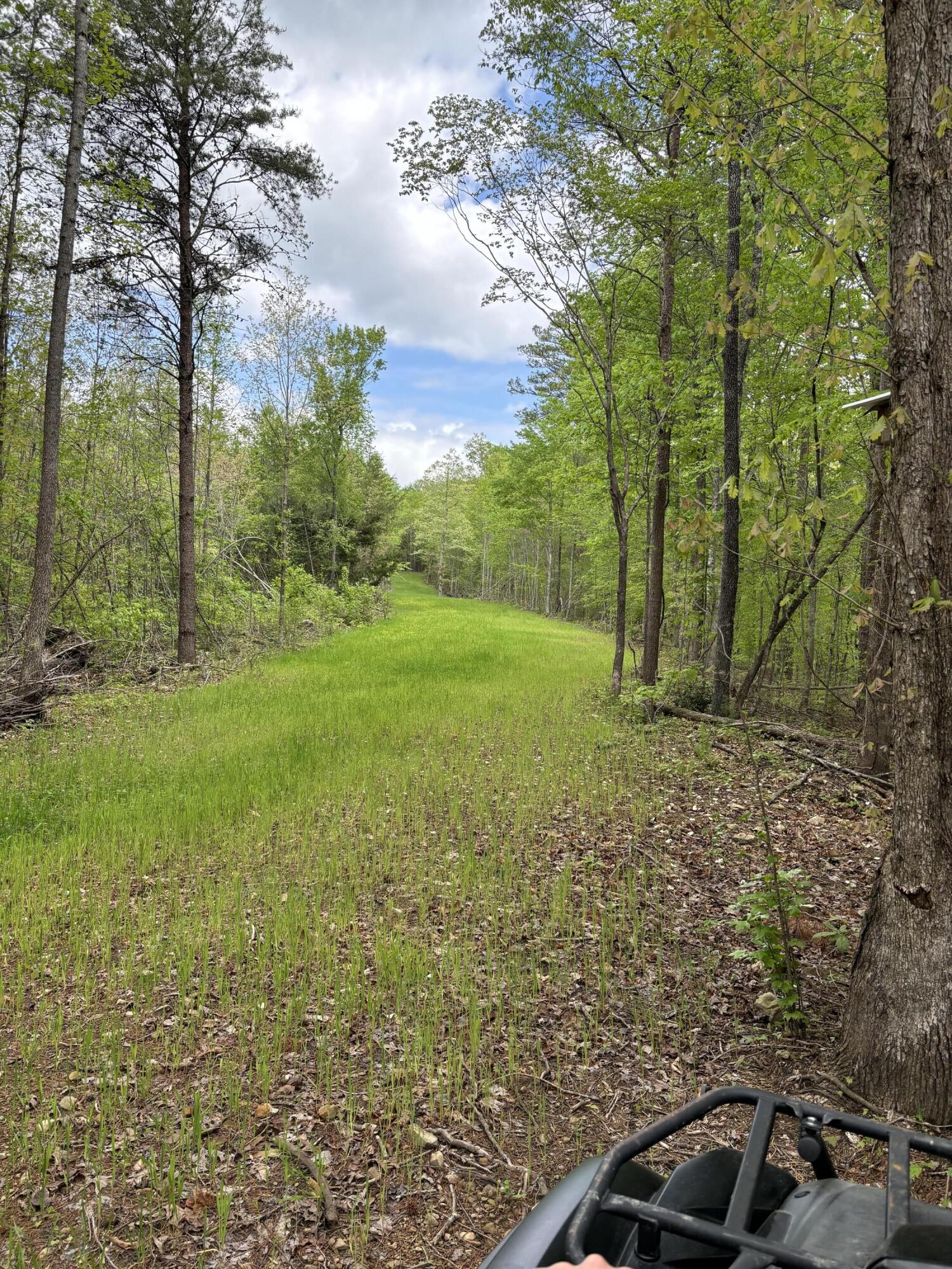 1020 Lower Cove Loop Dayton, TN 37321 - Photo 66 of 76 IMG_8950