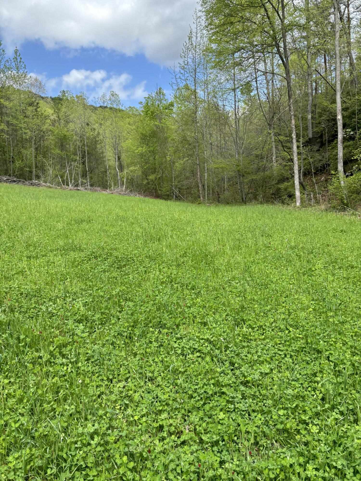 1020 Lower Cove Loop Dayton, TN 37321 - Photo 67 of 76 IMG_8949