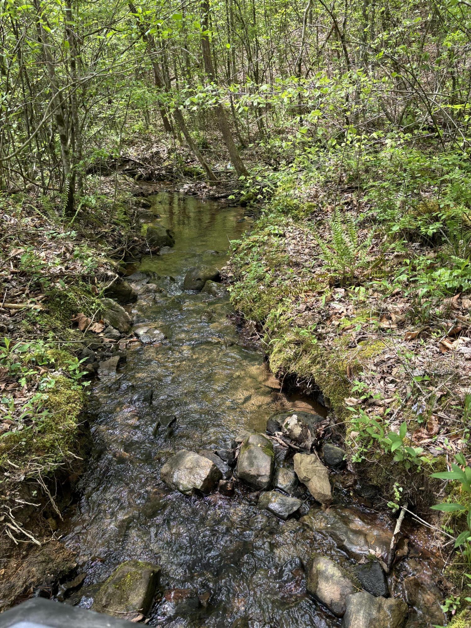 1020 Lower Cove Loop Dayton, TN 37321 - Photo 68 of 76 IMG_8948