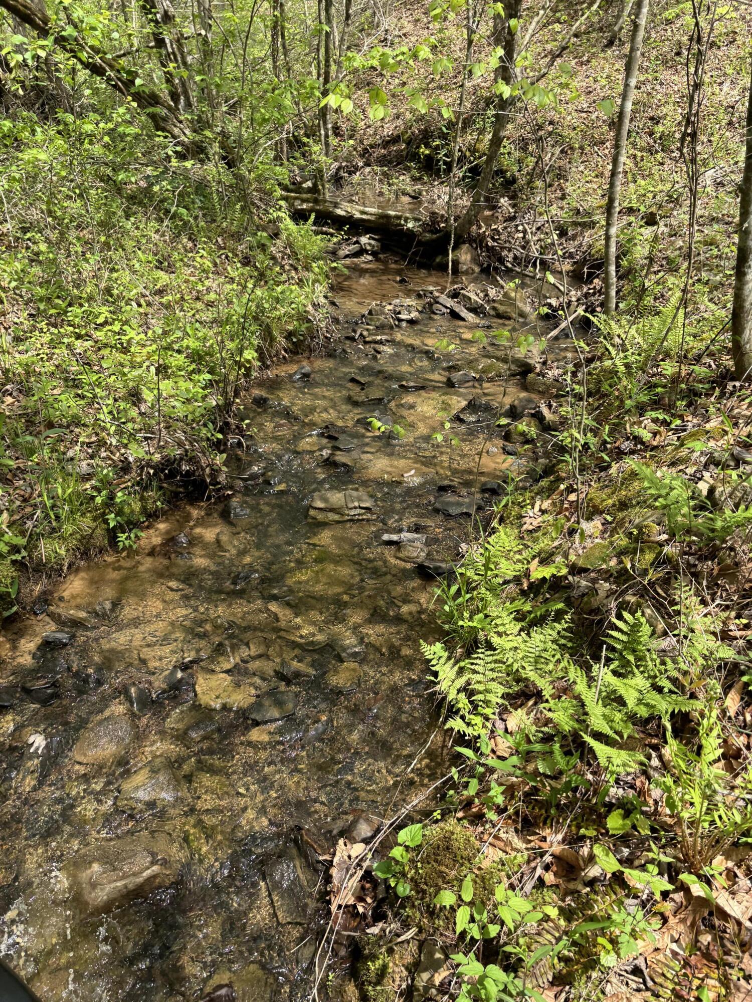 1020 Lower Cove Loop Dayton, TN 37321 - Photo 69 of 76 IMG_8947