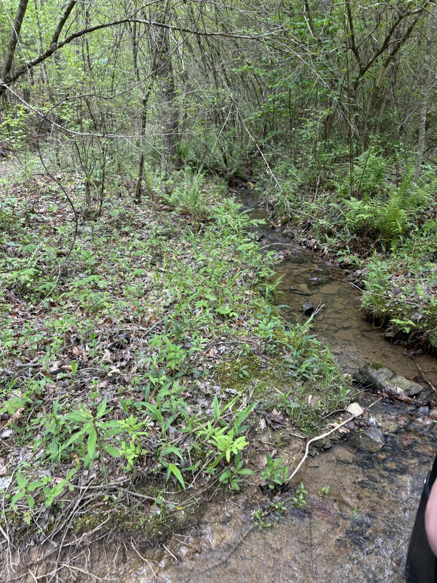 1020 Lower Cove Loop Dayton, TN 37321 - Photo 70 of 76 IMG_8946