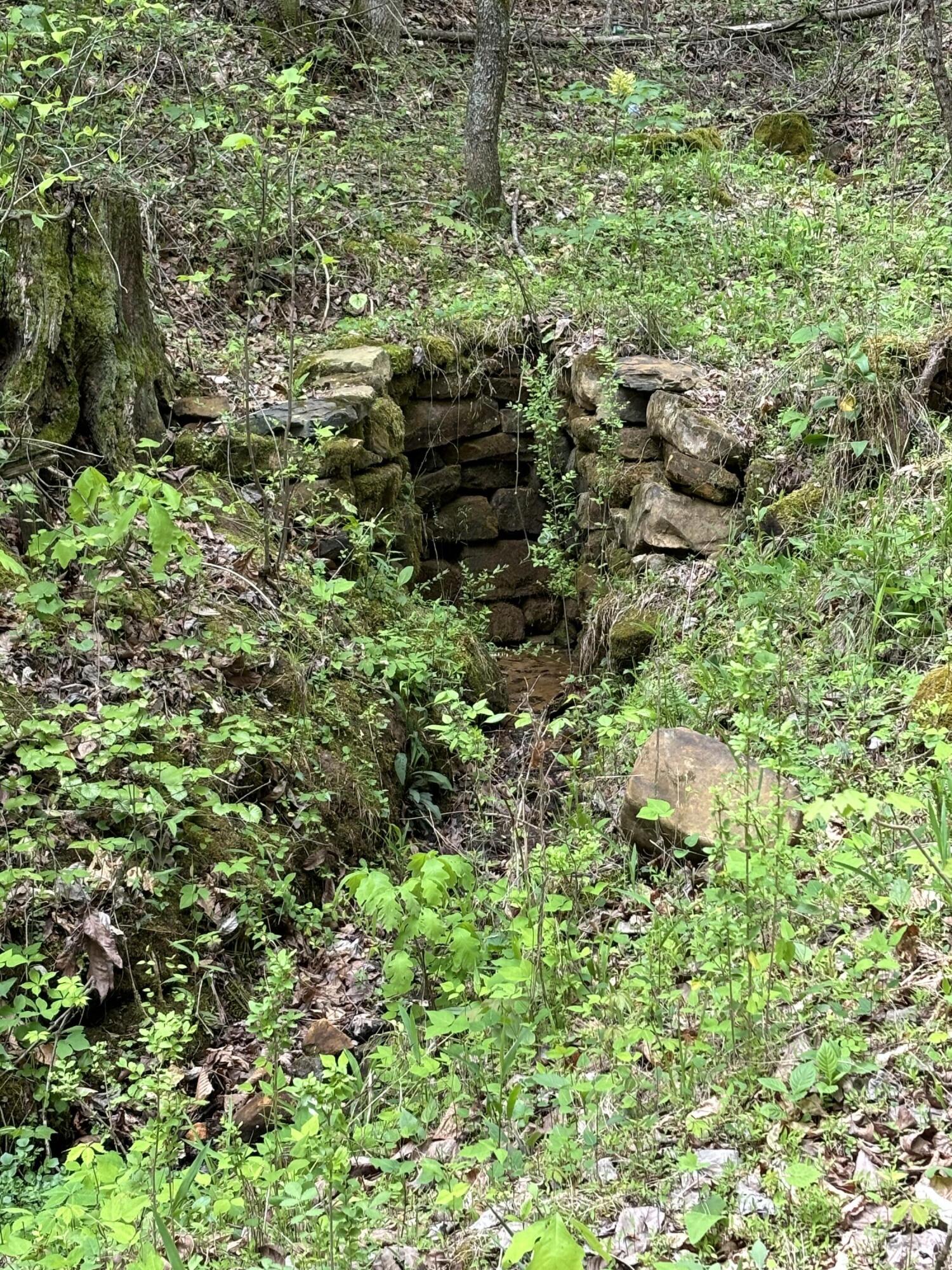 1020 Lower Cove Loop Dayton, TN 37321 - Photo 71 of 76 IMG_8957