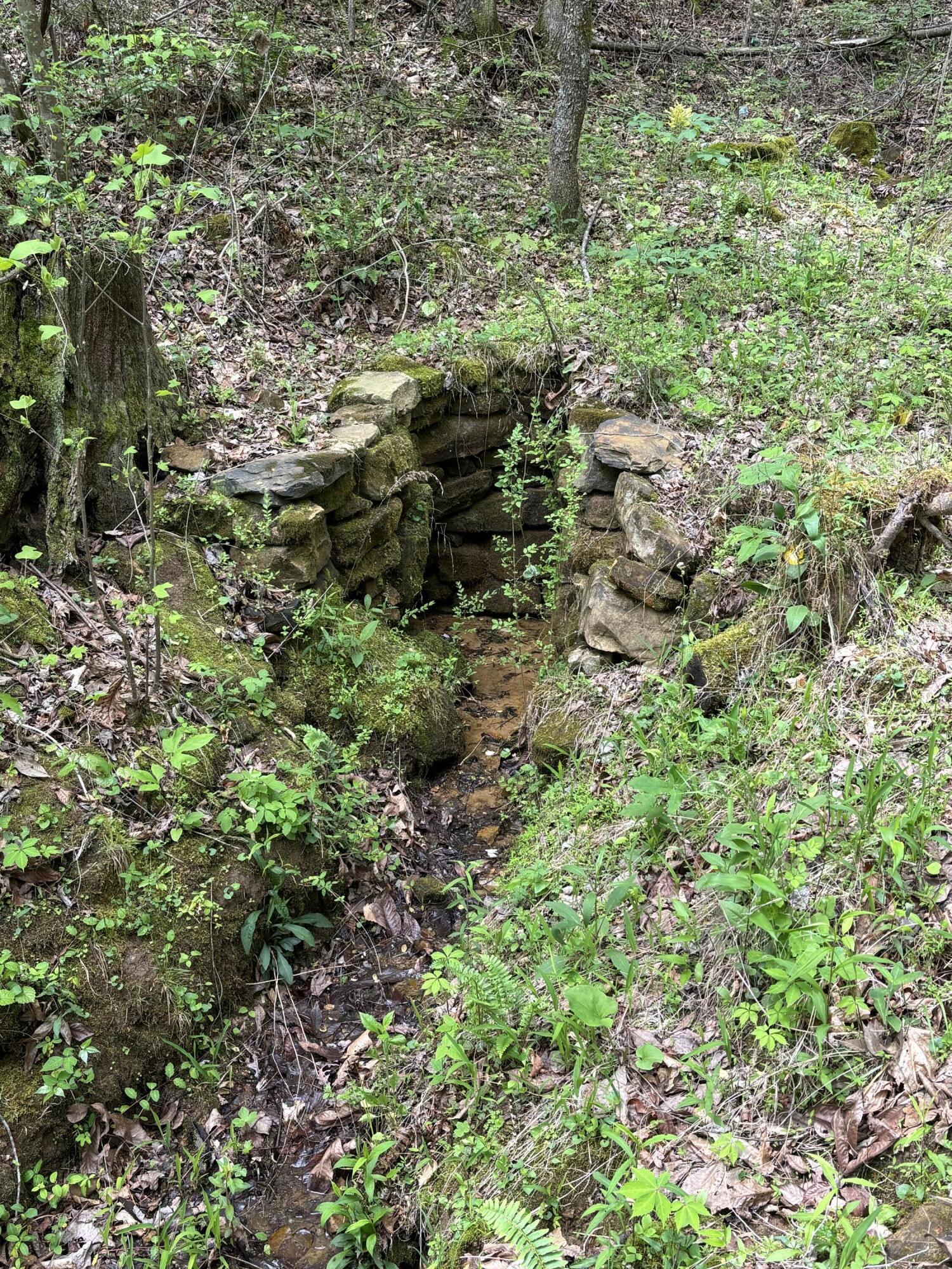 1020 Lower Cove Loop Dayton, TN 37321 - Photo 72 of 76 IMG_8959