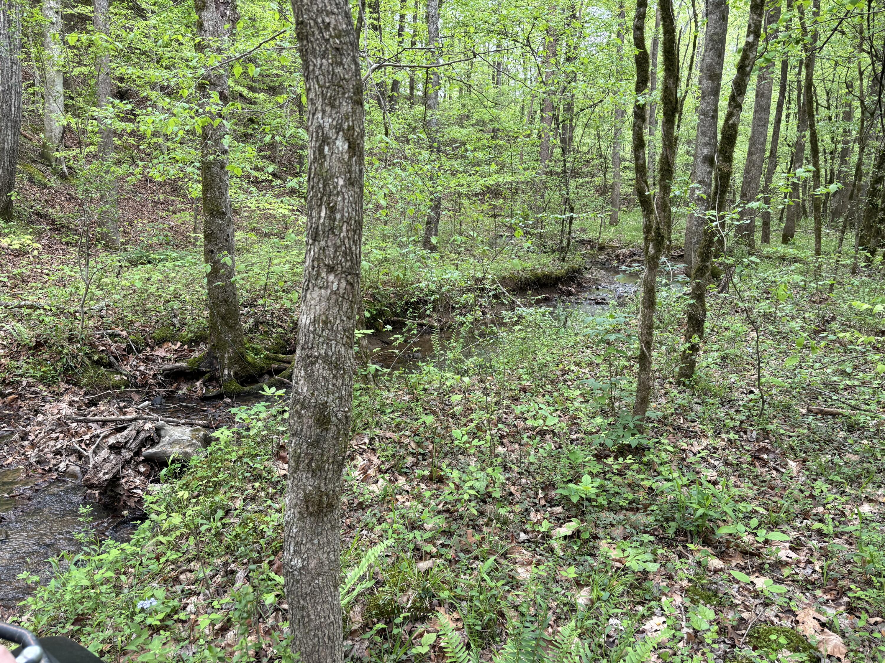 1020 Lower Cove Loop Dayton, TN 37321 - Photo 73 of 76 IMG_8955