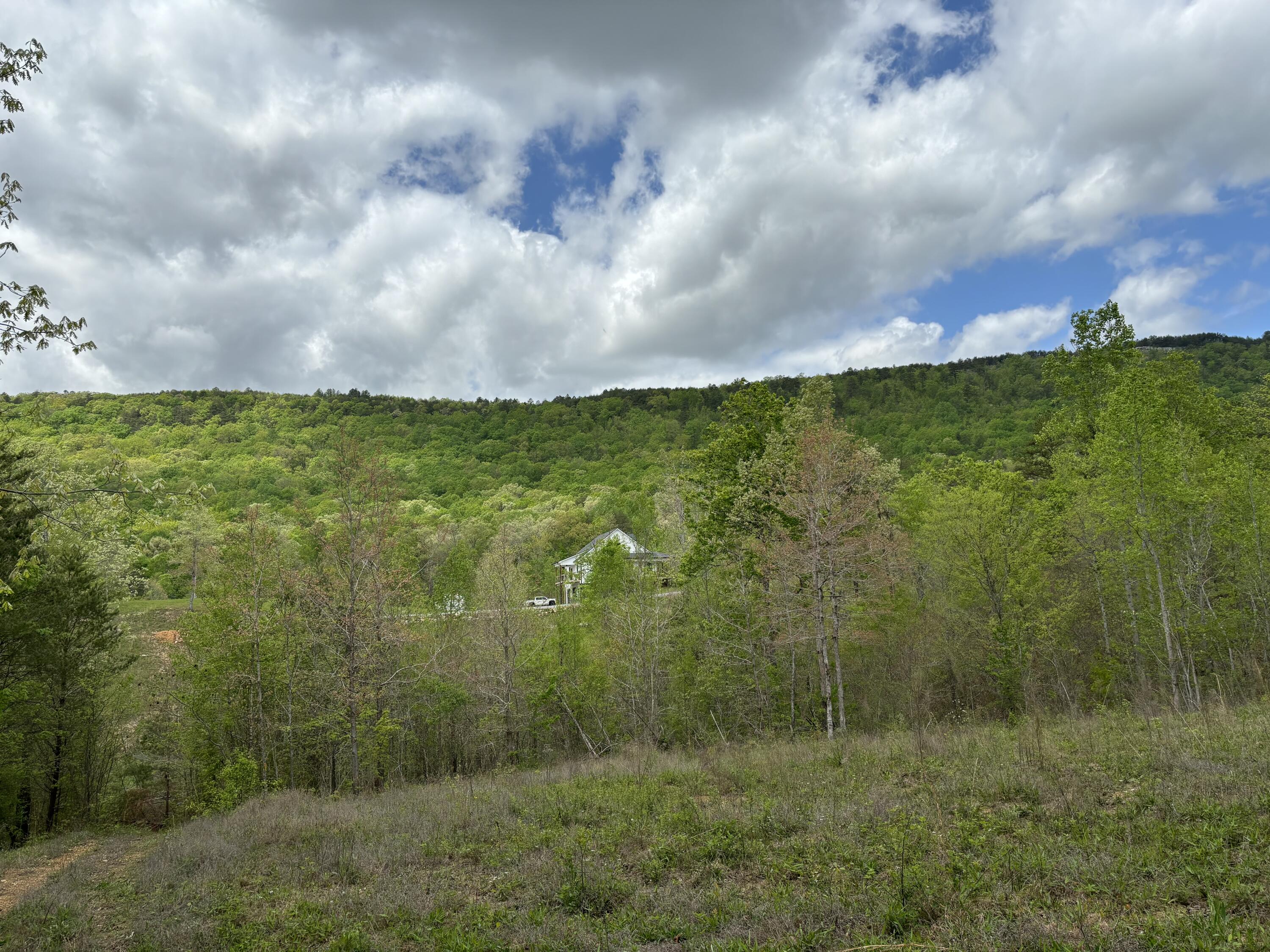 1020 Lower Cove Loop Dayton, TN 37321 - Photo 75 of 76 IMG_8945