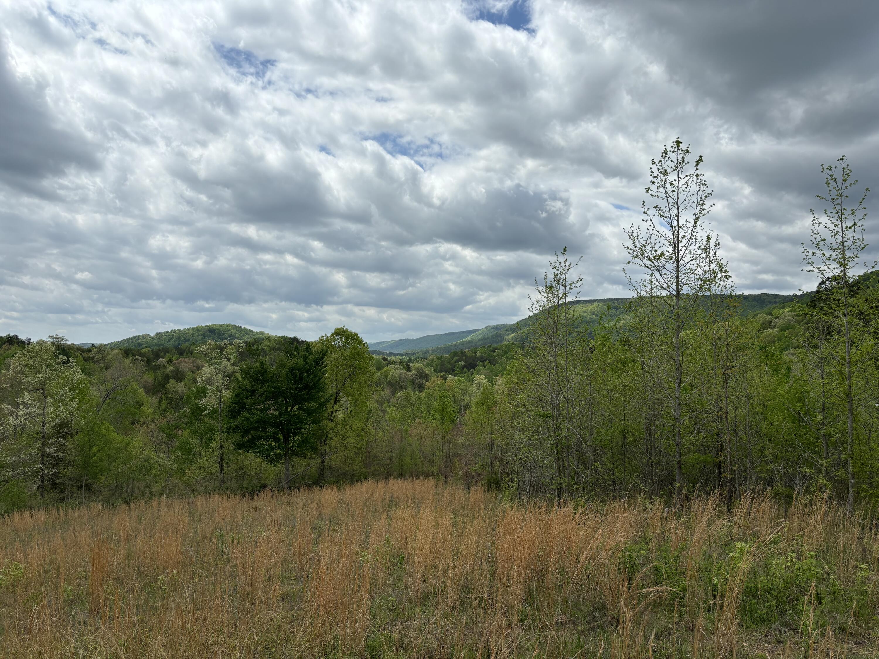 1020 Lower Cove Loop Dayton, TN 37321 - Photo 76 of 76 IMG_8941