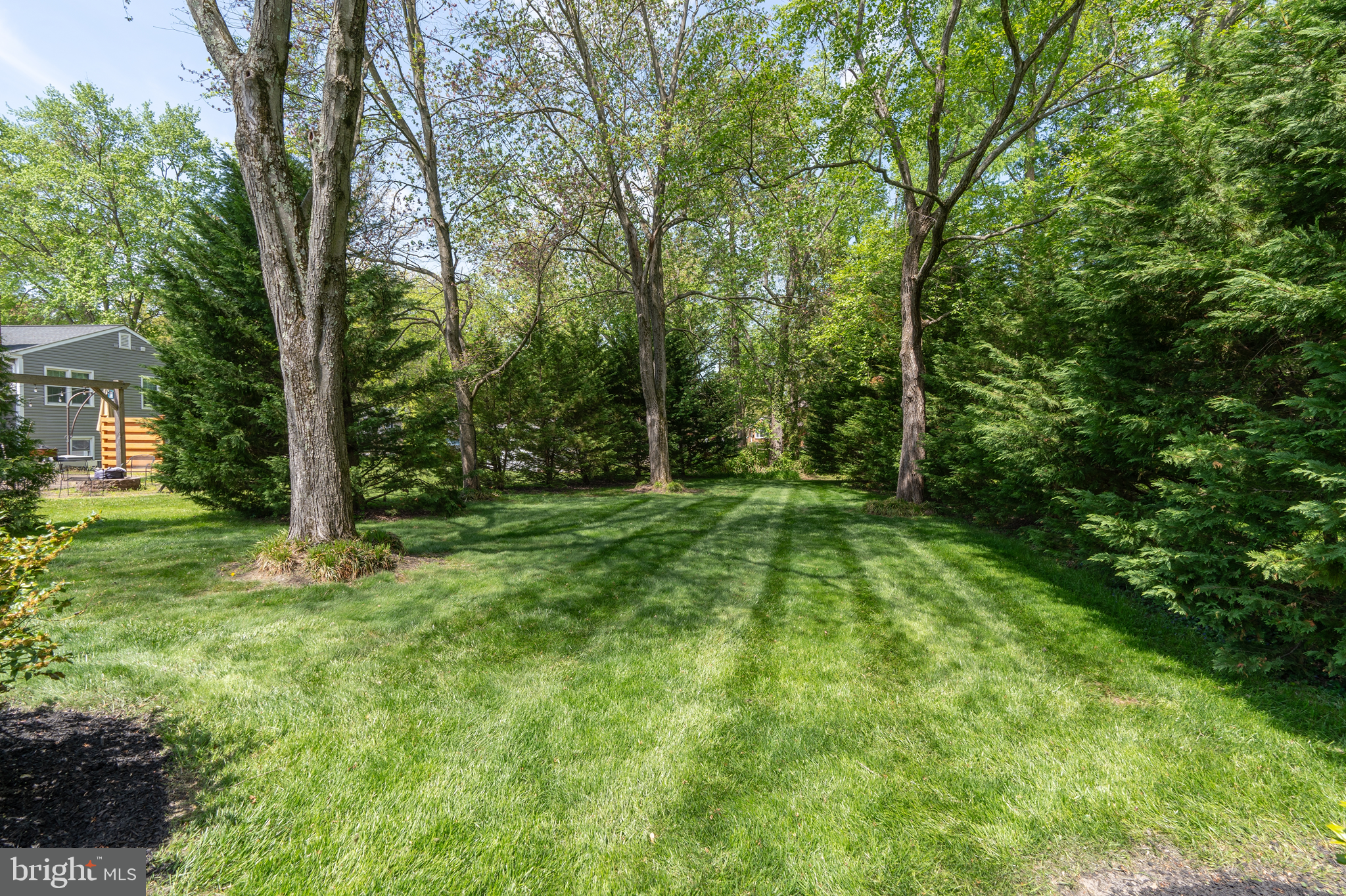 314 Wilson Road Newark, DE 19711 - Photo 42 of 47 Level, Open Backyard