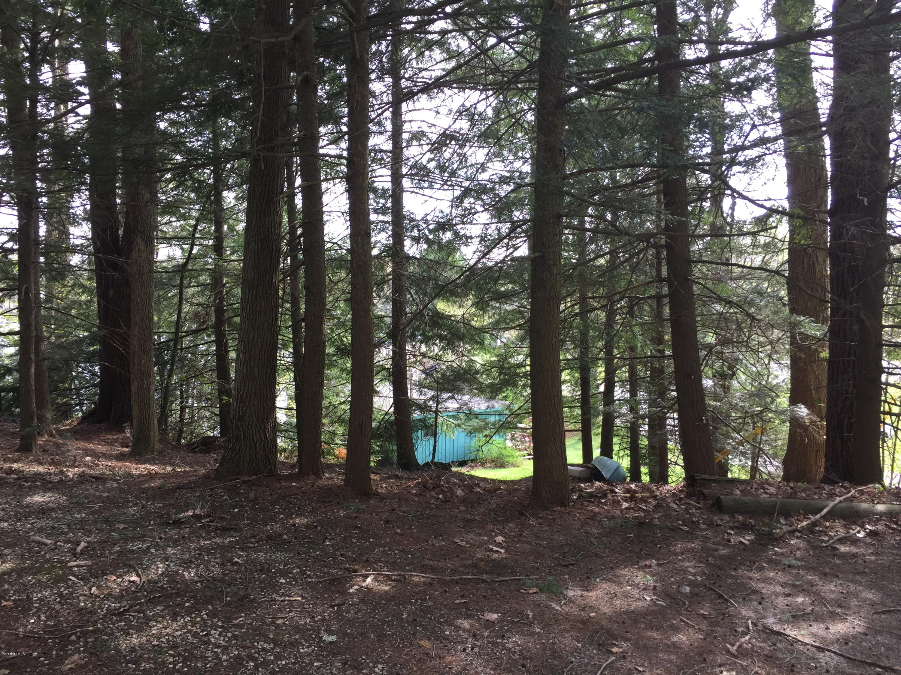 4 Sylvan Road Monterey, MA 01245 - Photo 2 of 6 a view of outdoor space and trees