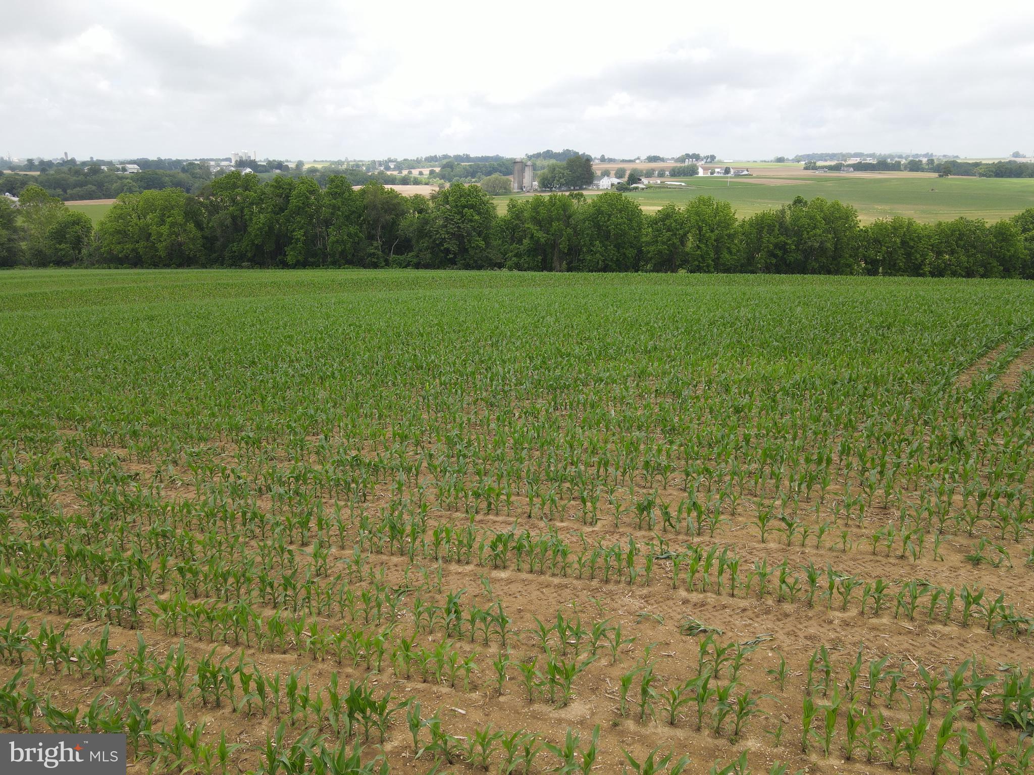 2344 Back Run Road Manheim, PA 17545 - Photo 54 of 85 a view of a green field with trees in the background
