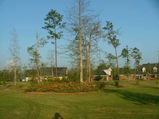 8916 Ferry Point Road Gautier, MS 39553 - Photo 8 of 8 Additional Photo