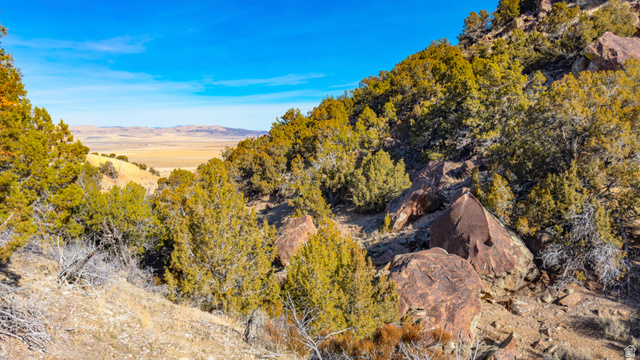 0 County Road 28 Levan, UT 84639 - Photo 81 of 207
