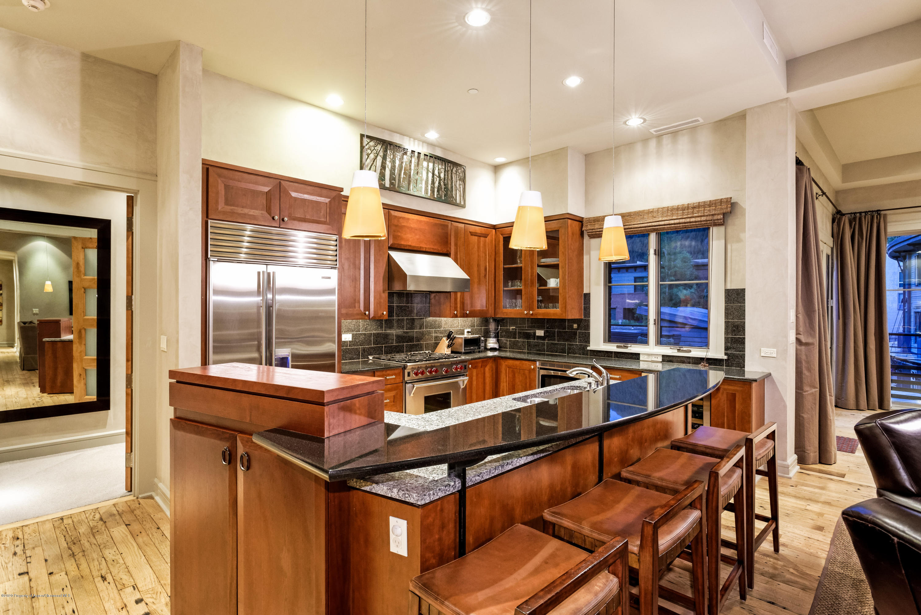 501 Rio Grande Place, Unit 204 Aspen, CO 81611 - Photo 8 of 28 501RioGrande204_HiRes020