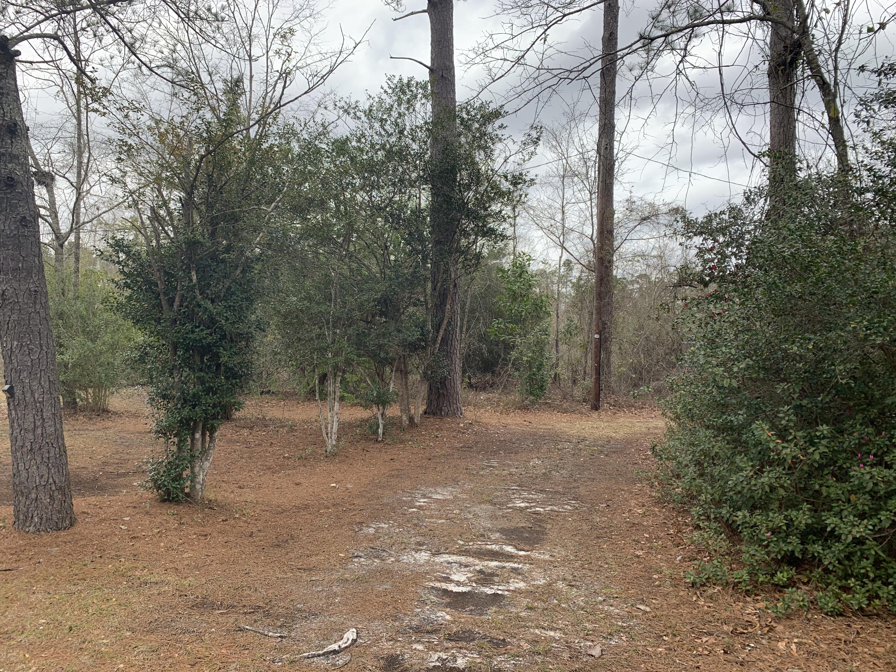 1160 State Rd S-15-233 Walterboro, SC 29488 - Photo 38 of 48 IMG_4675