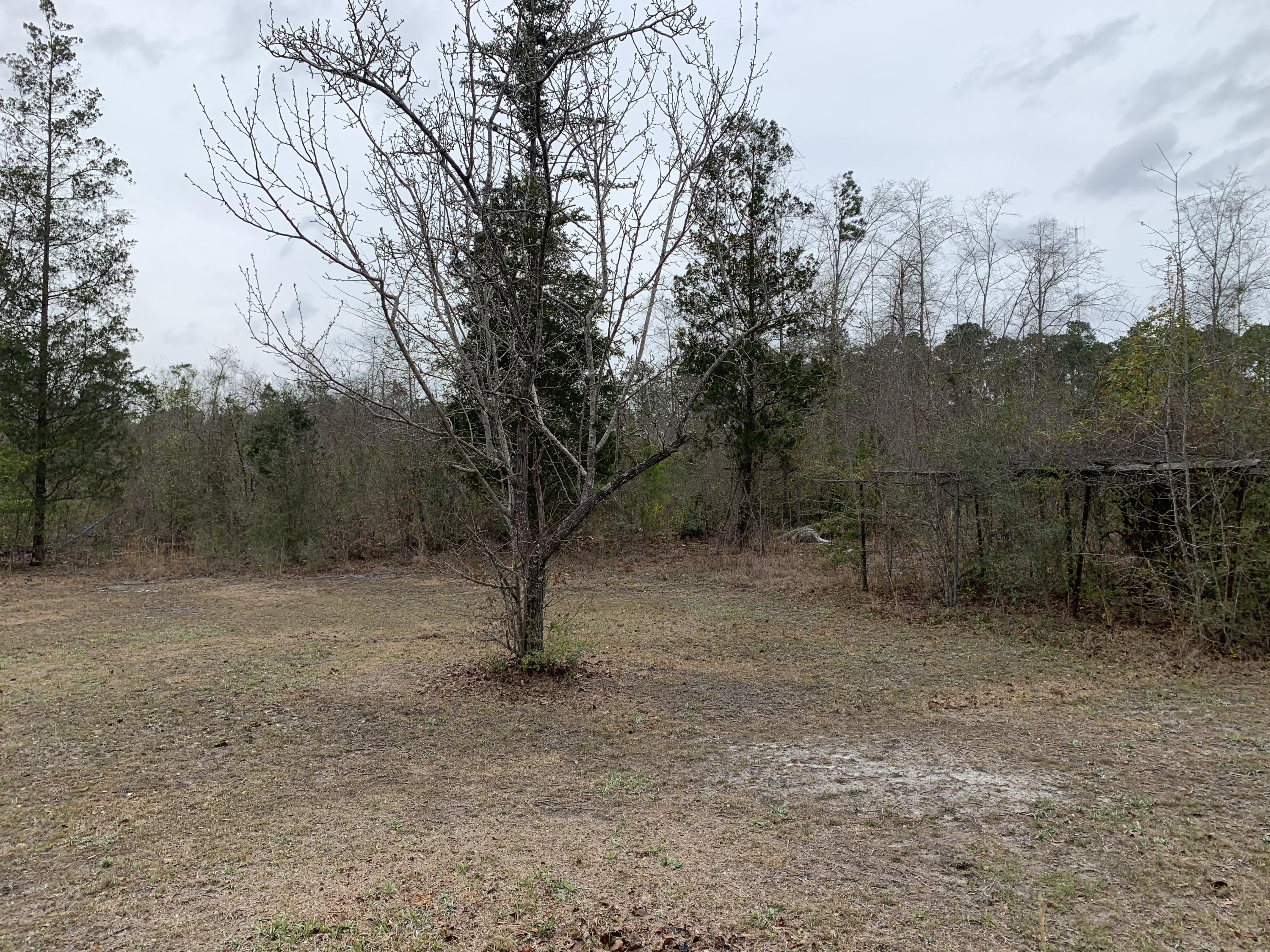 1160 State Rd S-15-233 Walterboro, SC 29488 - Photo 42 of 48 IMG_4727