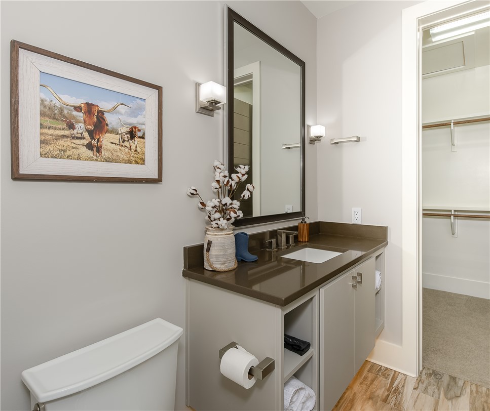 3320 Sycamore Trail Bryan, TX 77807 - Photo 38 of 48 Bathroom with vanity, a spacious closet, toilet, baseboards, and wood finished floors