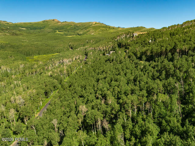5146 North Pne Cyn Road Park City, UT 84060 - Photo 6 of 15
