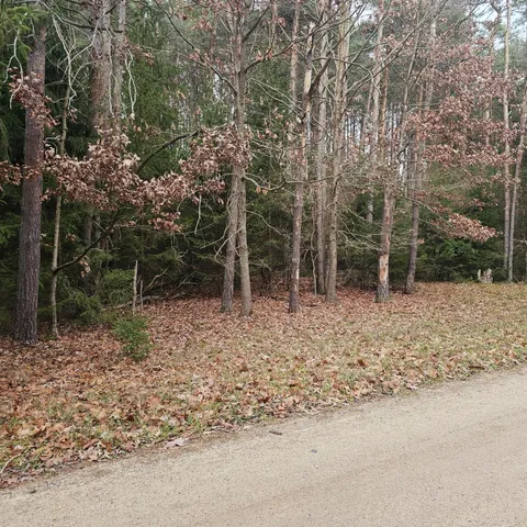 $385,900 | 9138 White Pine Drive, Stanwood, MI 49346