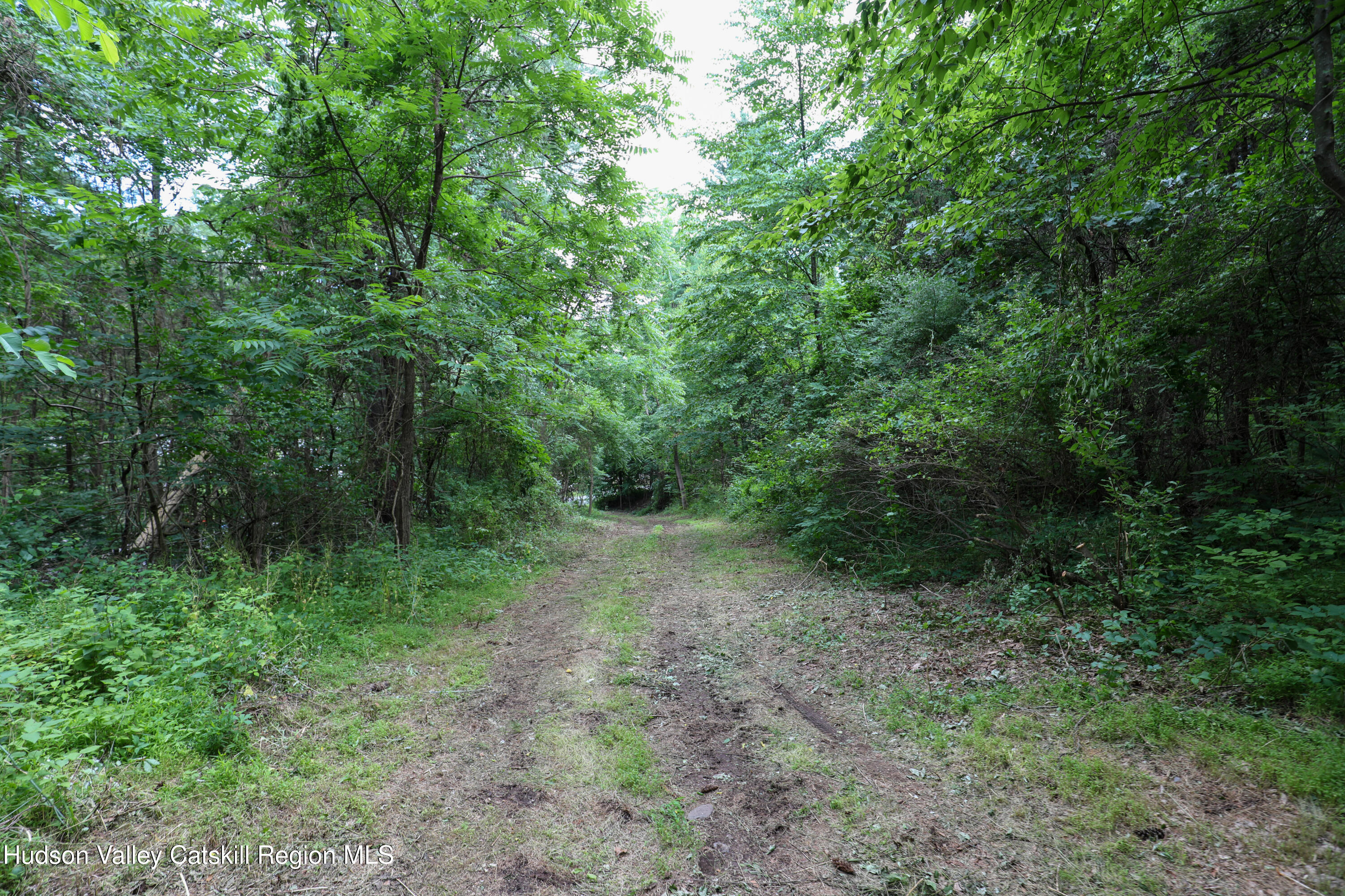 Tbd Old Kings Road Catskill, NY 12414 - Photo 8 of 8 08