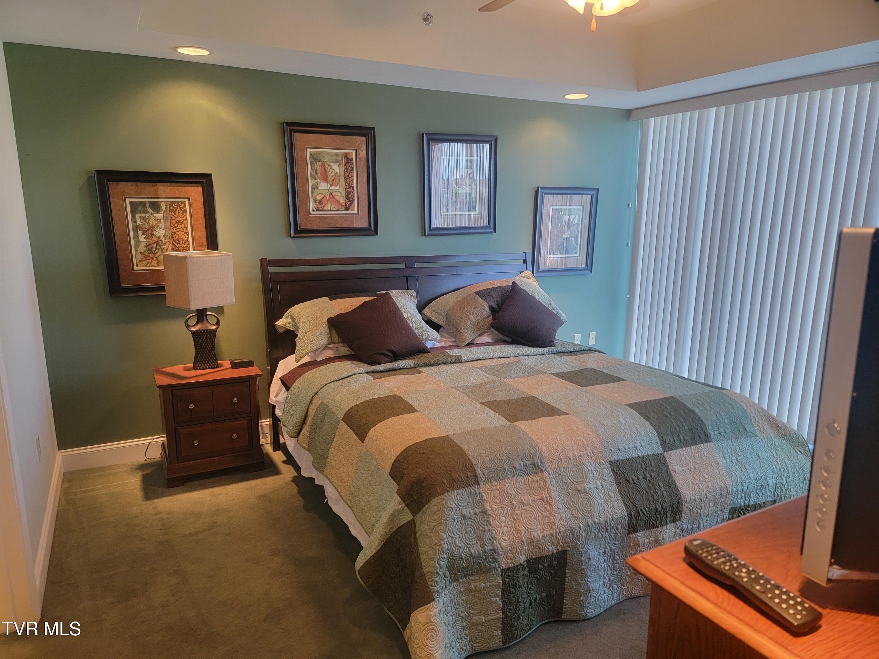 210 Raceday Center Drive, Unit 1505 Bristol, TN 37620 - Photo 25 of 69 20250620_190951